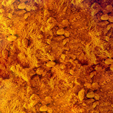 Solgar Full Spectrum Curcumin - 60 Liquid Softgels